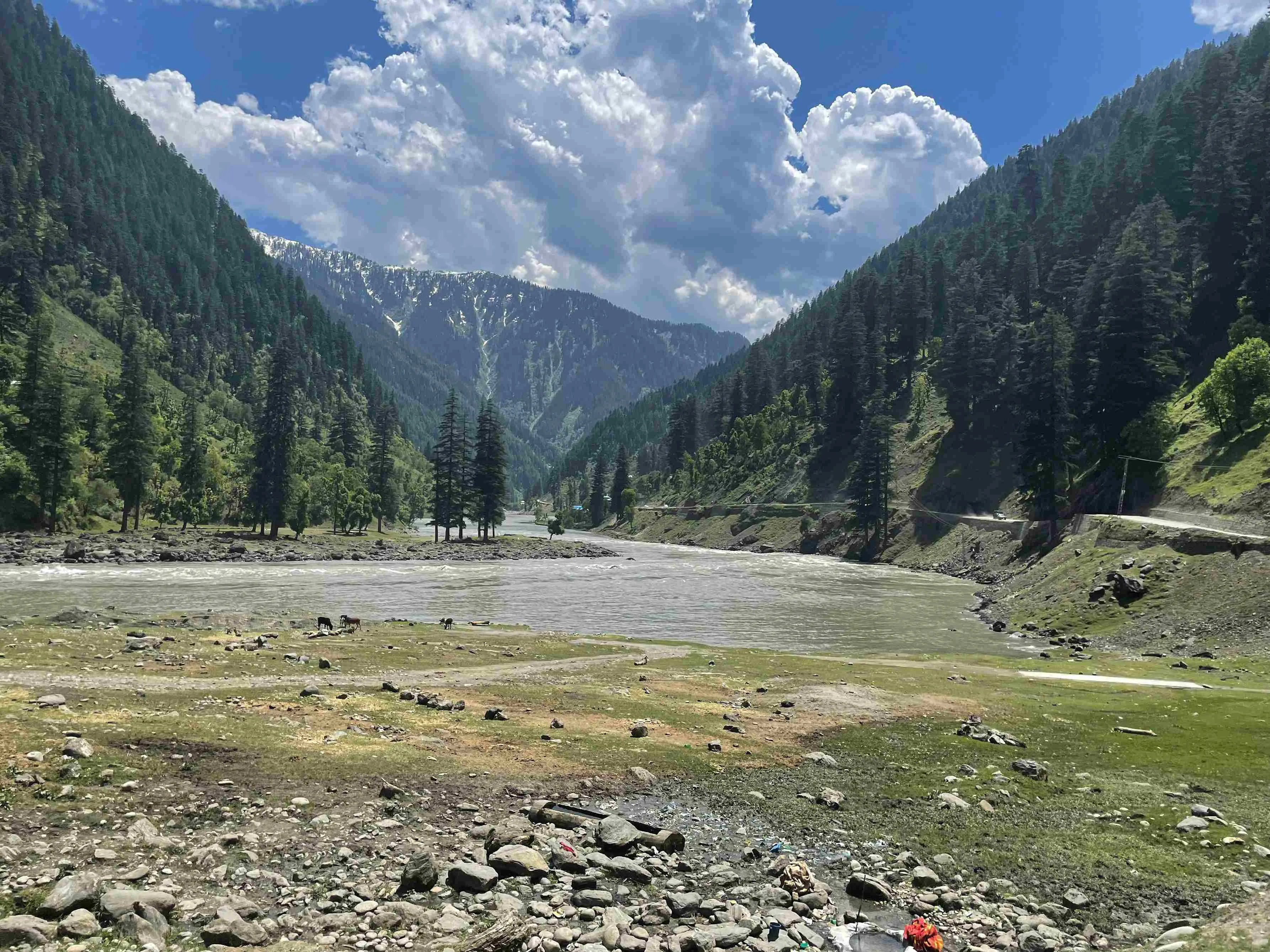 beautiful-view-rice-fields-lush-green-leepa-valley-kashmir-pakistan_11zon.webp