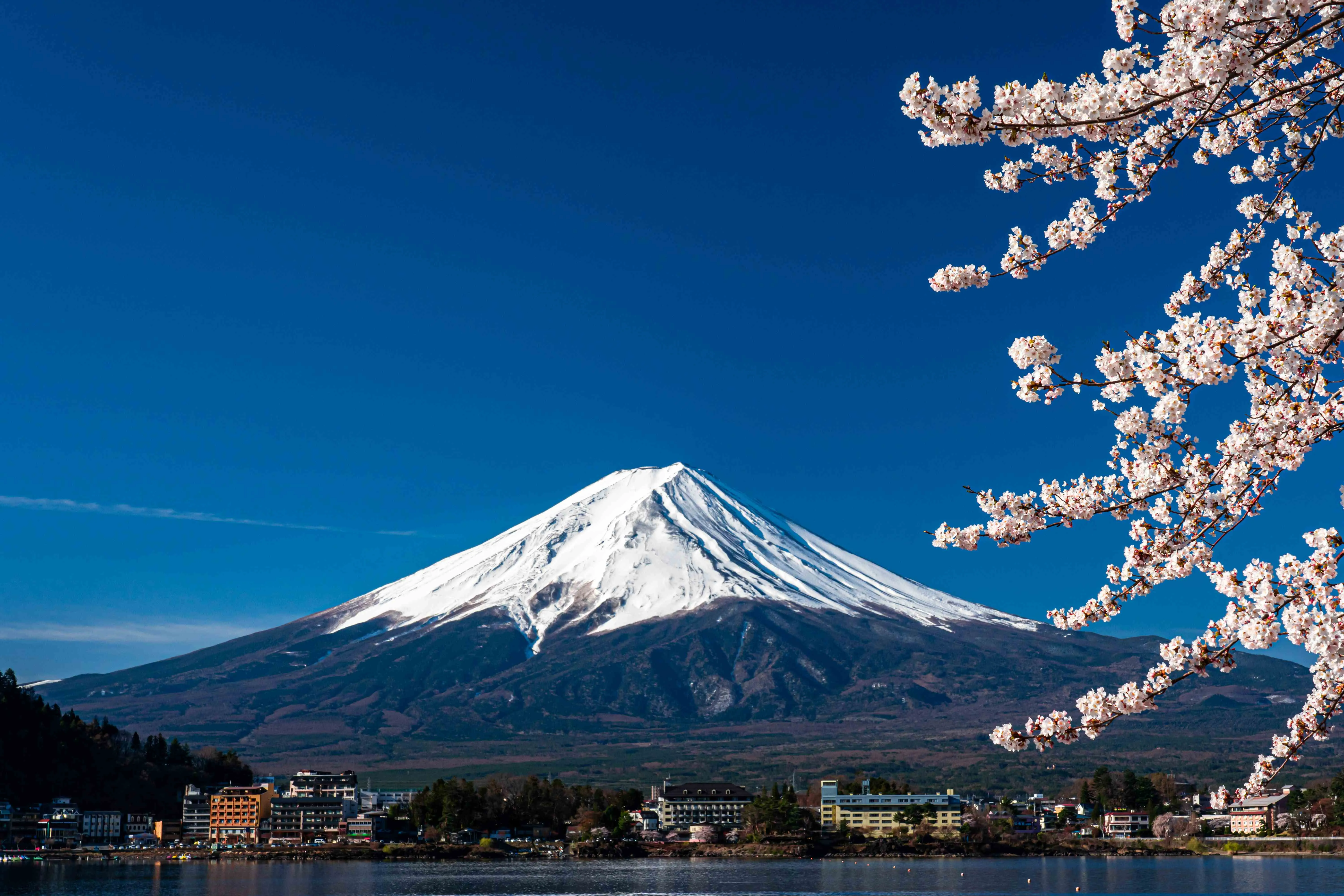 mt-fuji-spring-time-with-cherry-blossoms-kawaguchiko-fujiyoshida-japan_11zon.webp