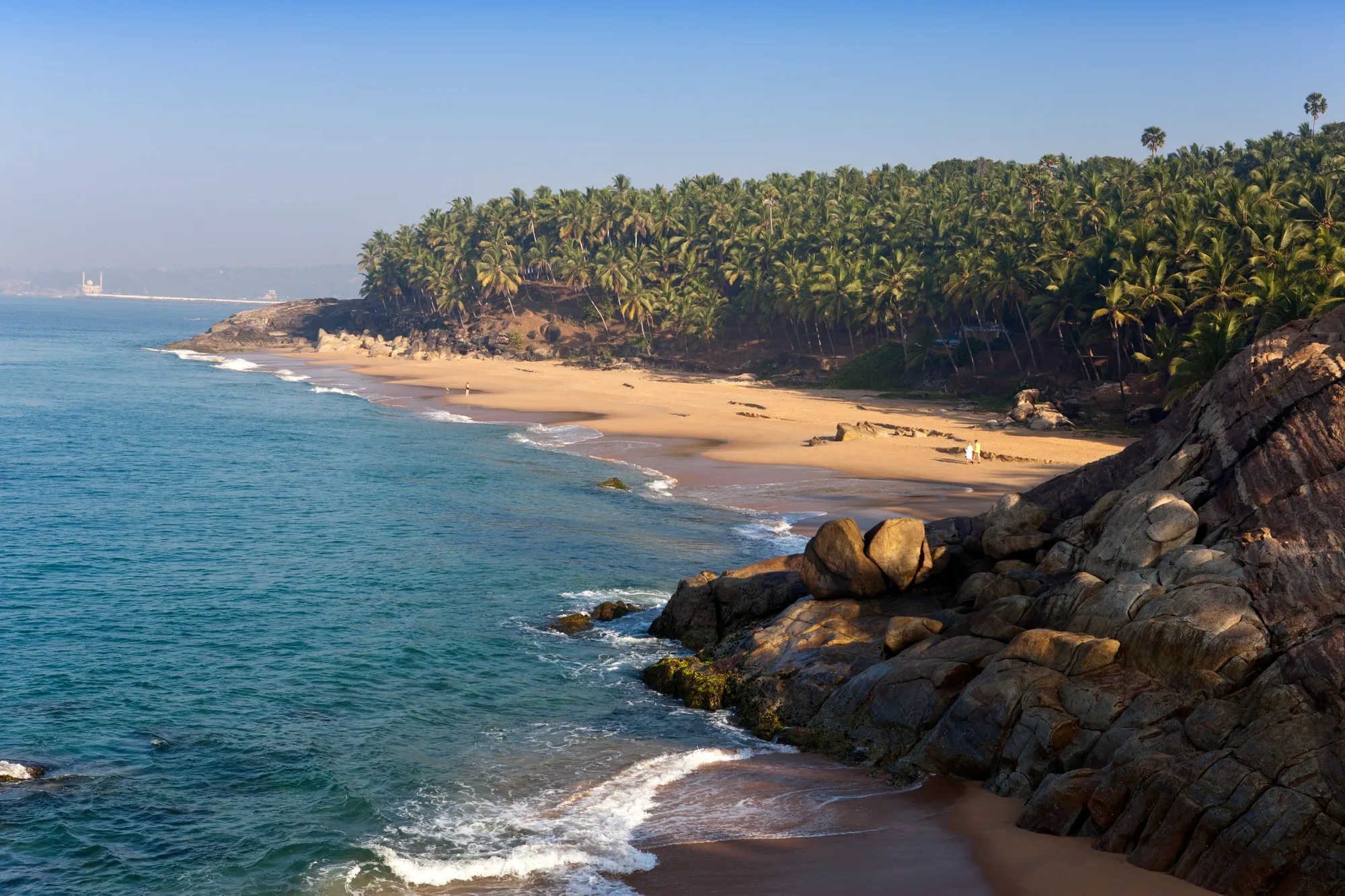 seashore-with-stones-palm-trees-india-kerala.webp